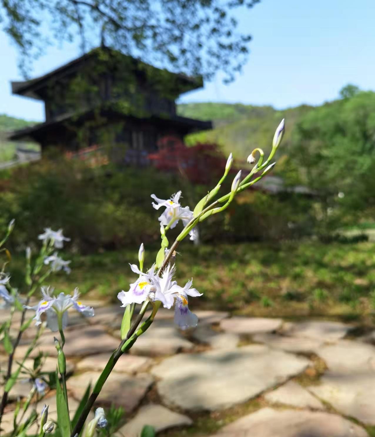 齐乐乐的情景家（02）—平面设计方案定稿