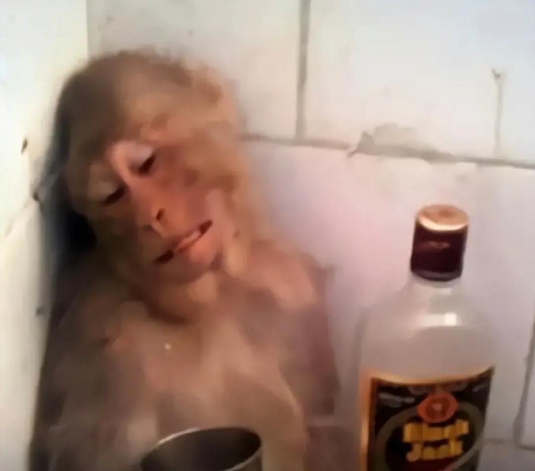 你见过搞笑的图片,又搞笑又悲伤的图