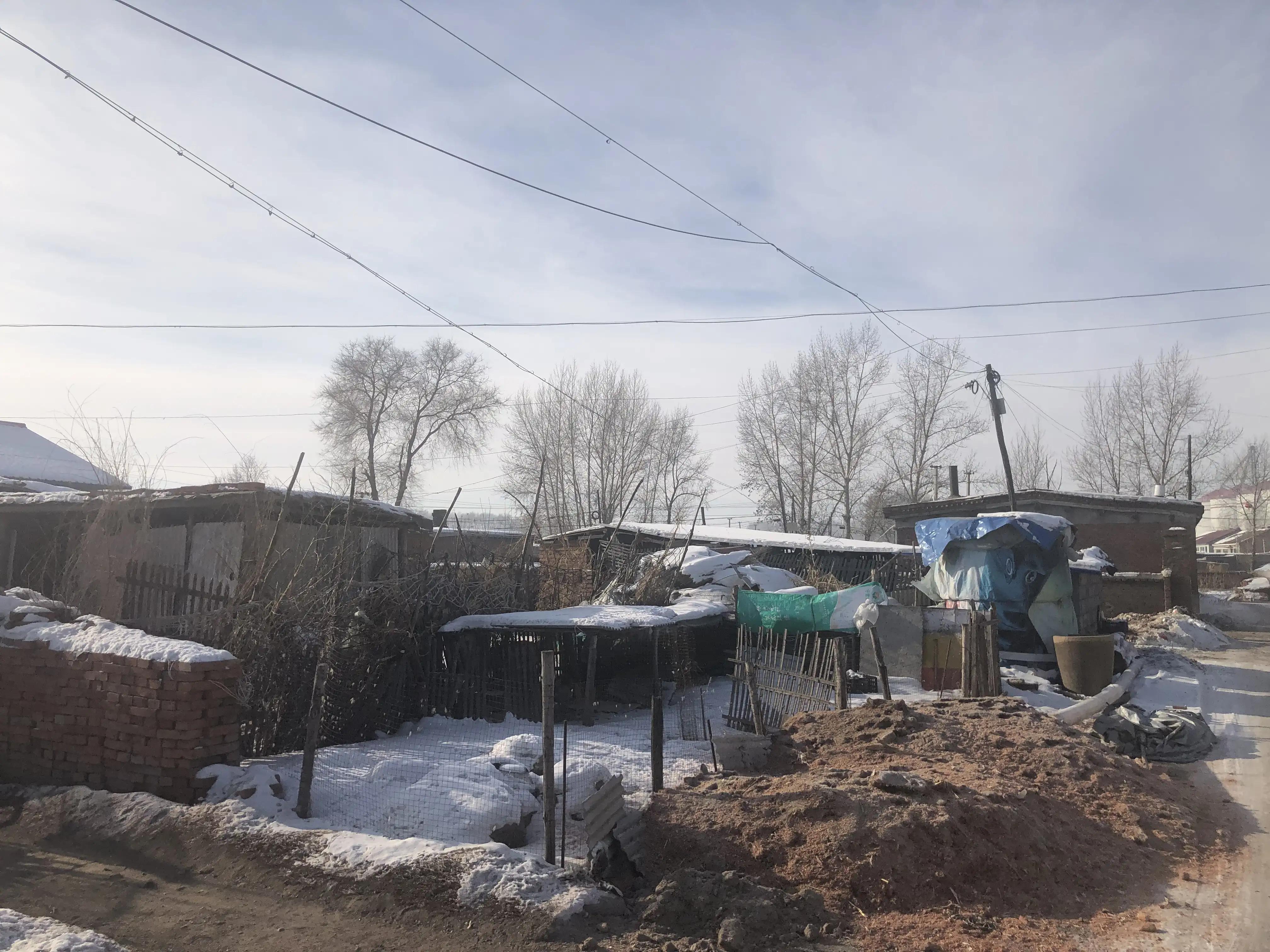 三十年的朋友大庆在童年时就是我们的楷模，原因不是因为他帅