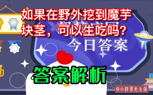 野外挖到的魔芋块根,如果在野外挖到魔芋块可以生吃吗