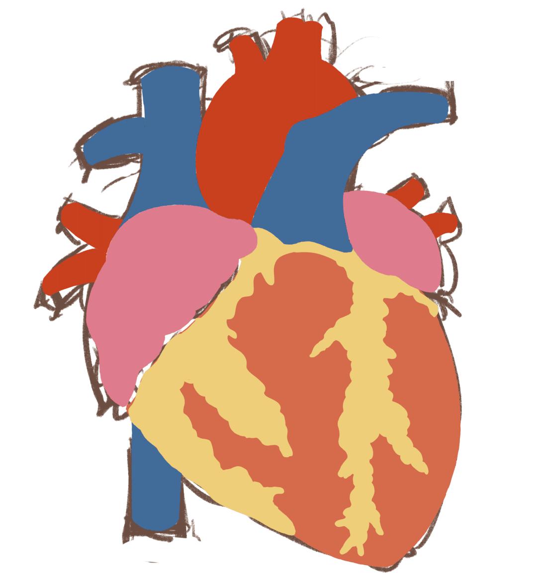 感觉心脏突然咯噔几下跳到嗓子,突然听到声音心脏就咯噔一下很慌