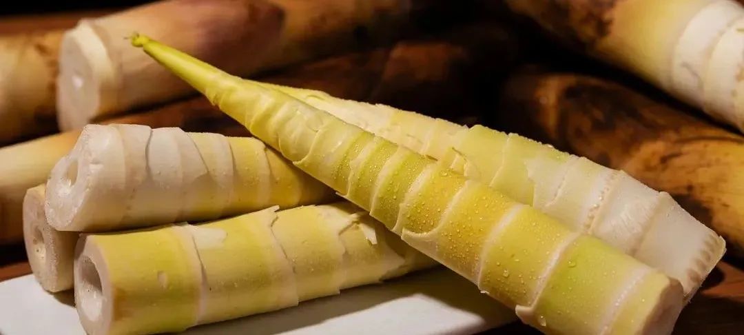 哪些东西是发物有肿瘤不能吃,肿瘤患者食物中的发物是什么