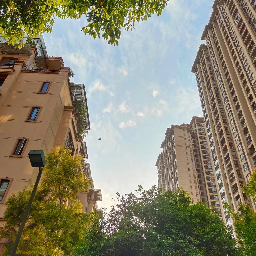 小区的景色的作文100字,小区环境的变化的作文