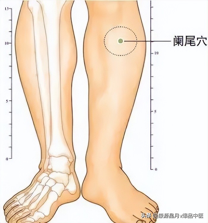 中医精华之人体特效穴,经外奇穴69个疑难杂症图解