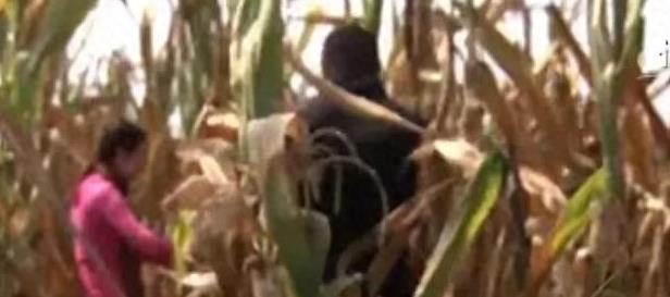 儿媳晒2000元年货，婆婆：啥时候回家？儿媳：不回，我儿子还没阳