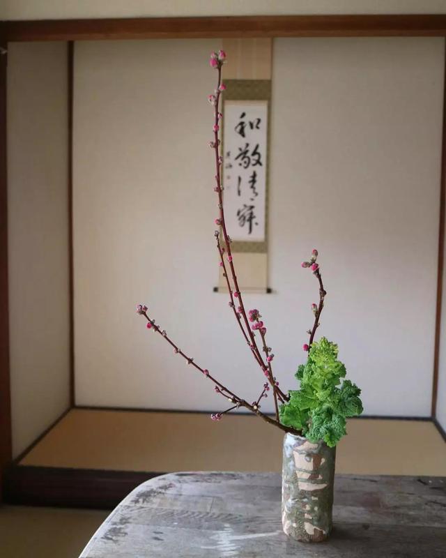 不会插花的句子,不会插花怎么办