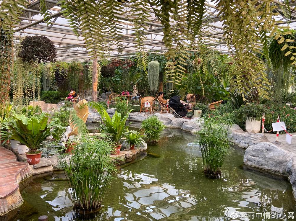 北京植物园的赏花的最好时节,西山秘境惊艳北京的植物