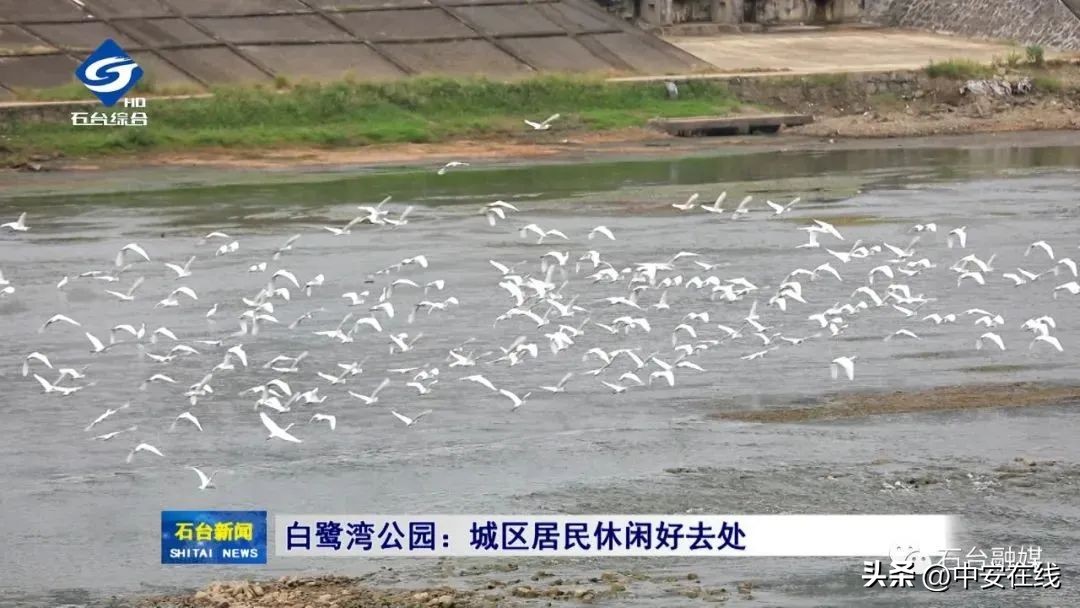 池州可以露营的湿地公园,池州户外露营地推荐