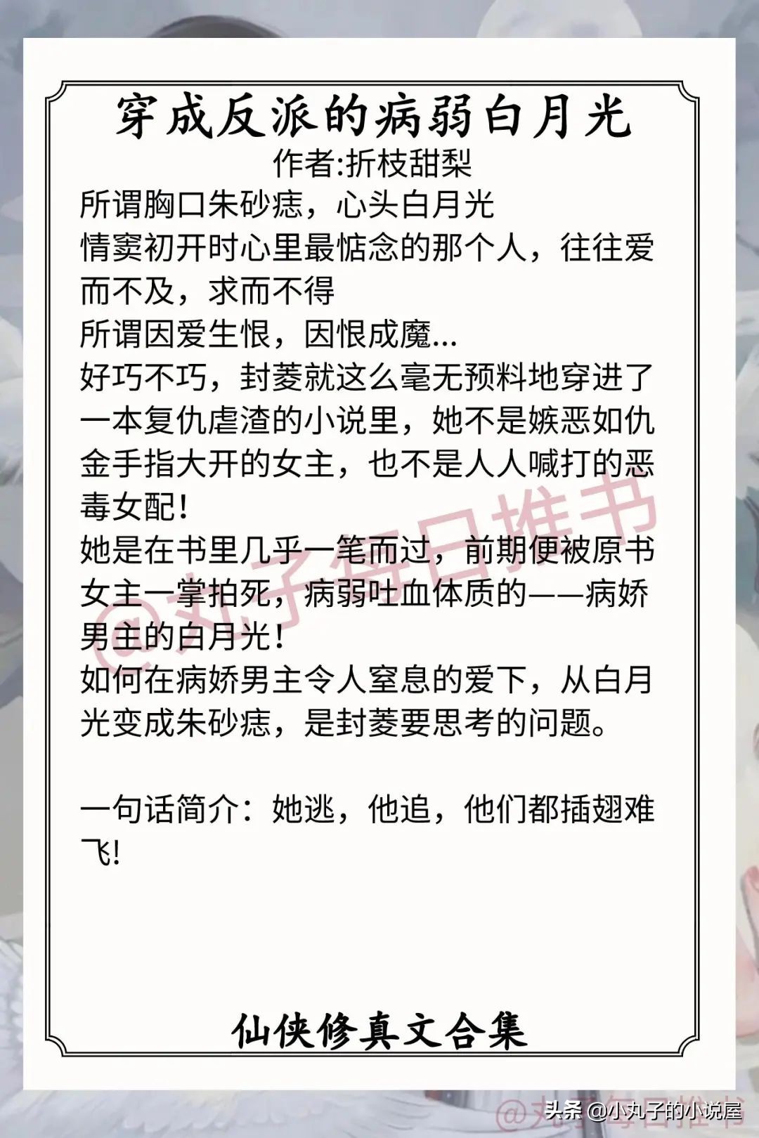 全文阅读我靠棺材横行修真界,我靠棺材横行修真界免费全文