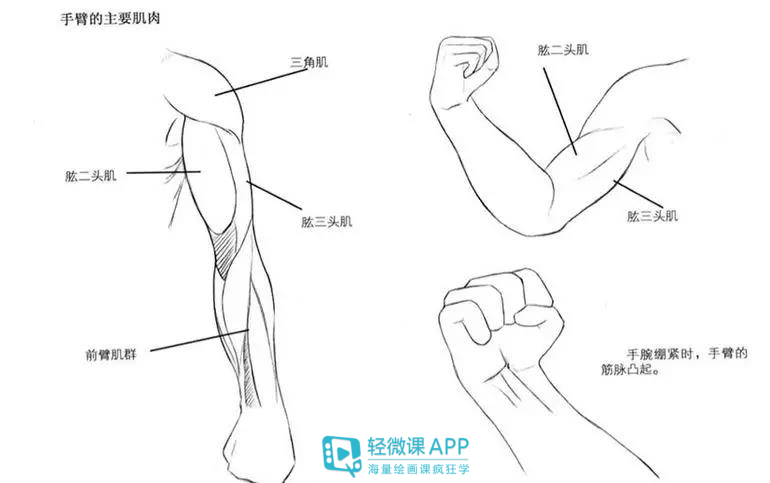 漫画手臂简单画法,如何画手臂动漫