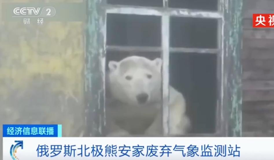 极端高温怎么解决啊,极端温度灾害主要有