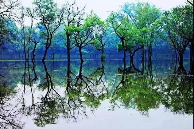 江西5月份冷门旅游,江西十大冷门景点人少景美好玩