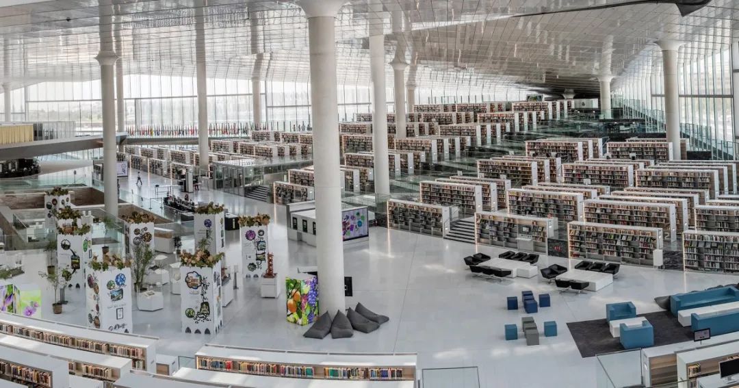 世界杯冷知识大全集,世界杯举办国卡塔尔的冷知识