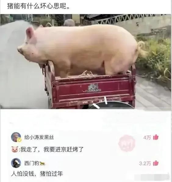 盘点沙雕穿搭,沙雕穿搭推荐