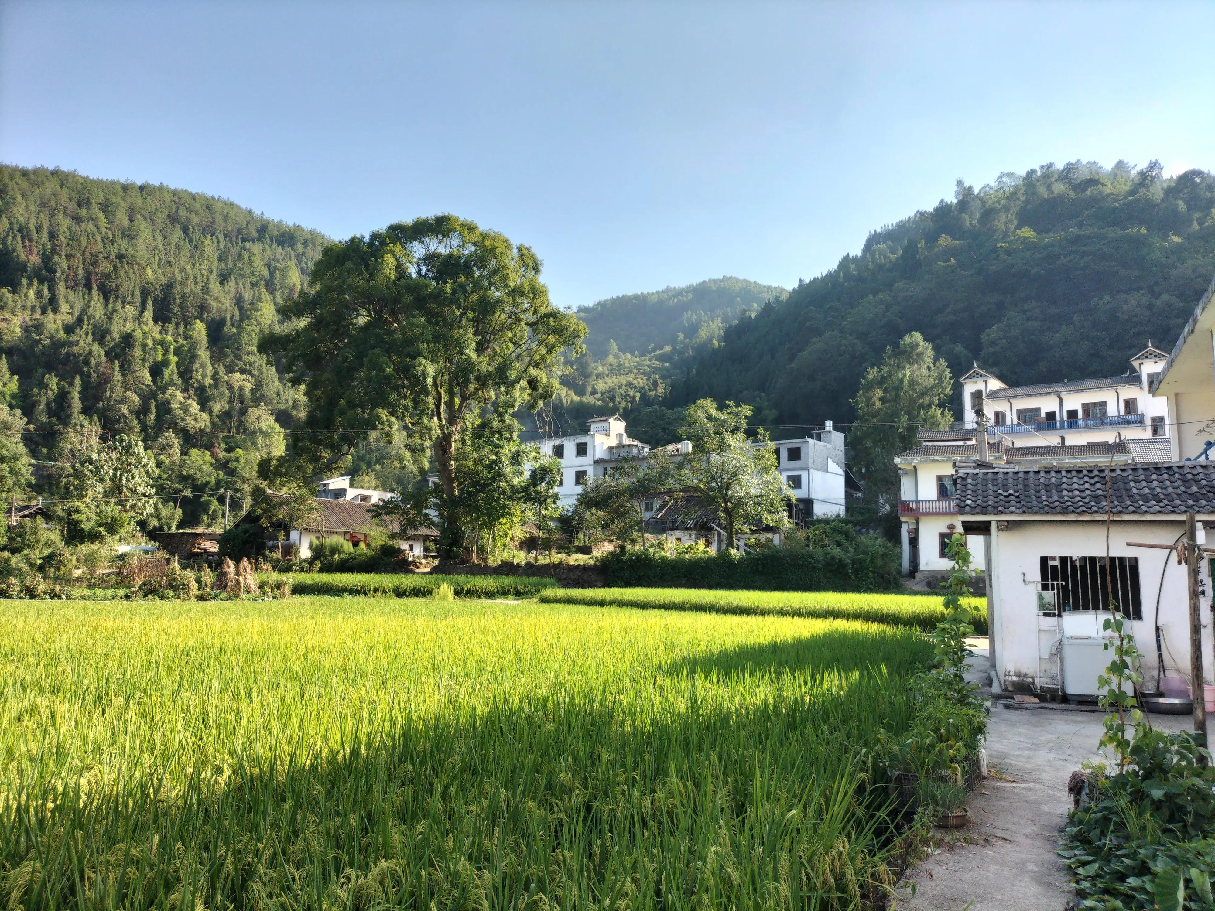 贵州的未来,贵州的未来有几个市