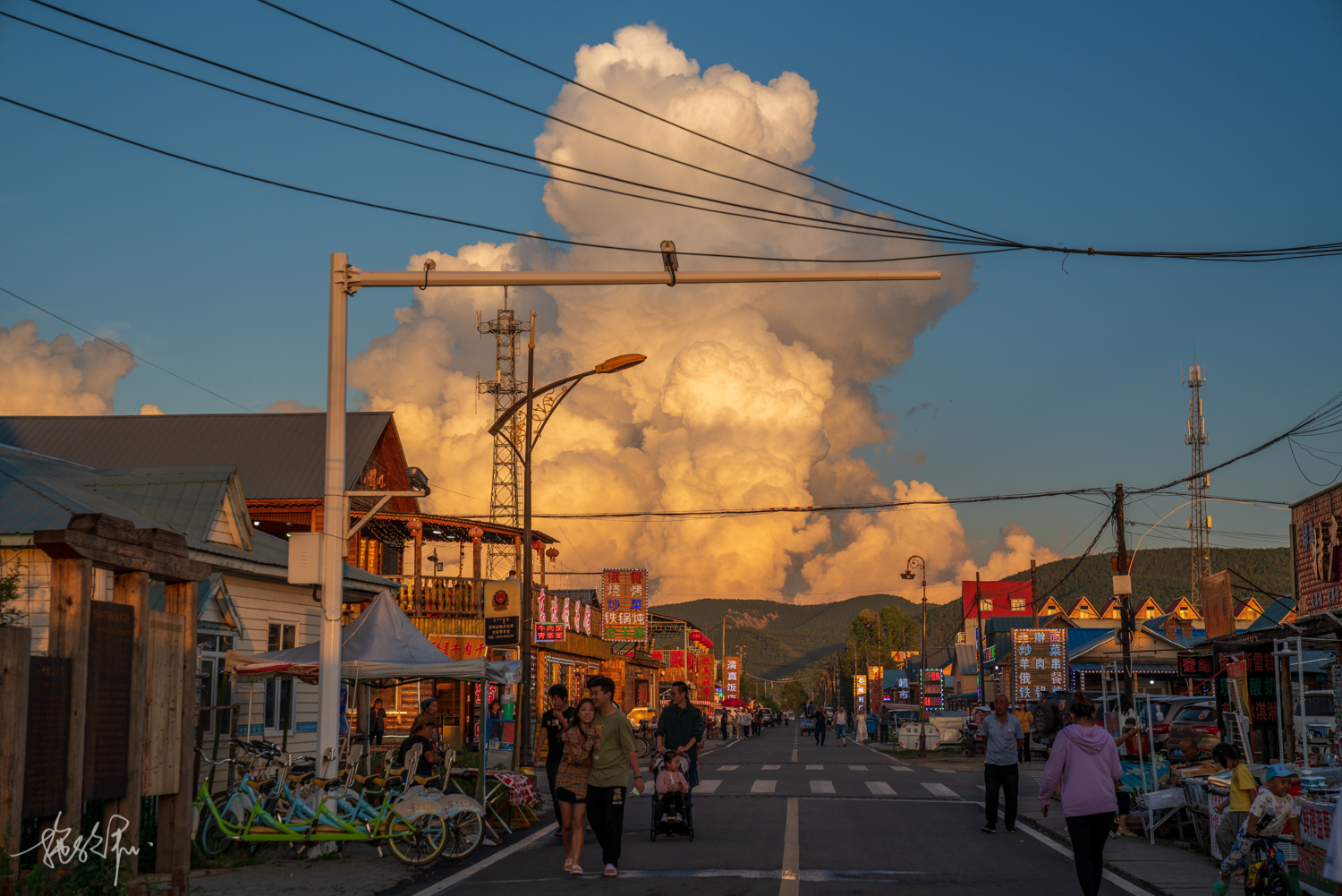 我的2022年度报告,我的2022原版