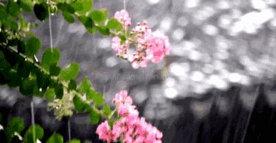 疠疫千家净炎蒸一夕空,那些描写夏天雨的诗词,凉爽了整个夏天