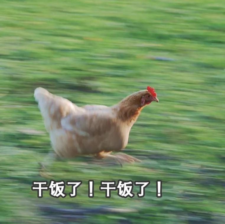 今年的网络热词,近期的网络热词有什么