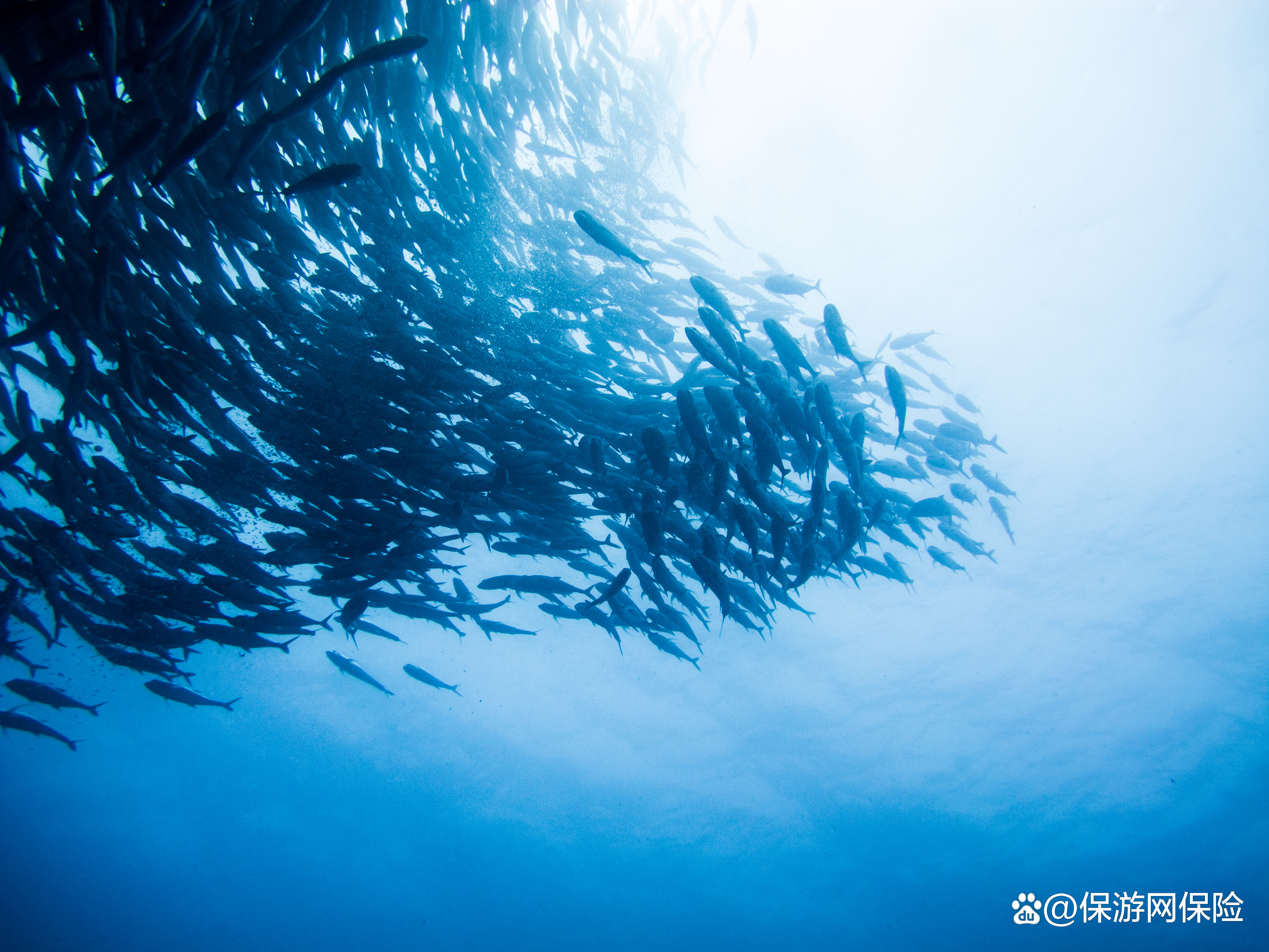 菲律宾旅游遇险,菲律宾旅游团事件