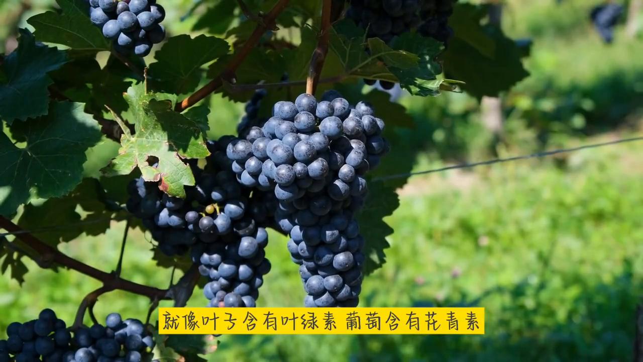 不惑大叔的励志视频,不惑大叔的自白