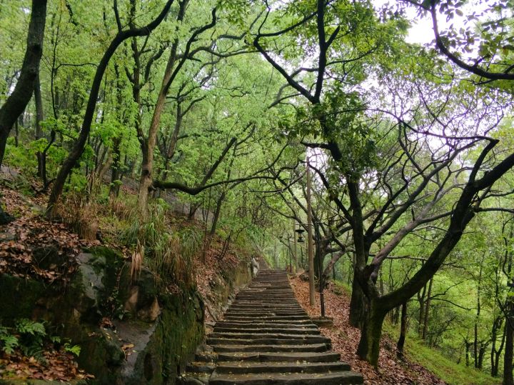 重庆春节小众自驾游推荐,重庆小众宝藏旅行地