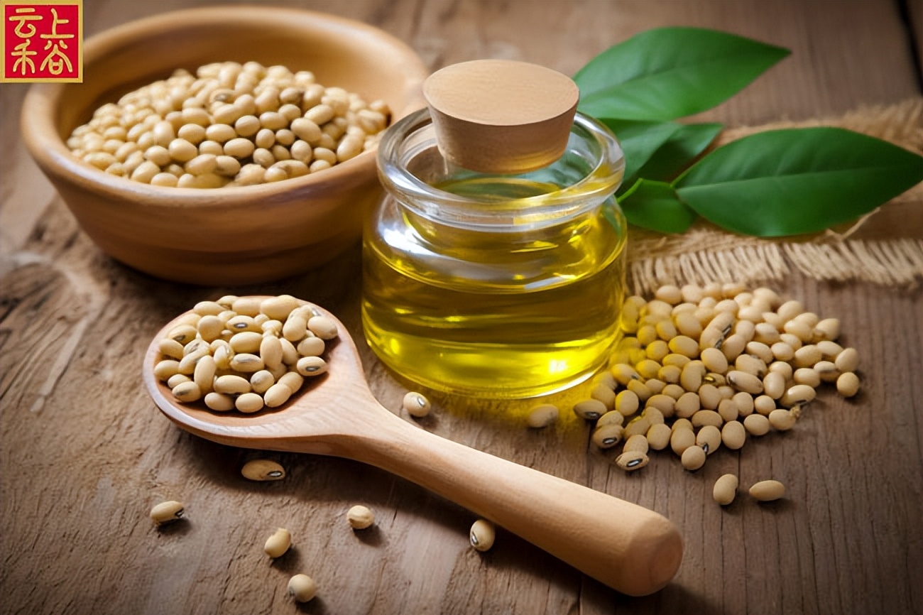 云上禾谷：市面上有这么多种食用油，哪种才是更健康的选择？