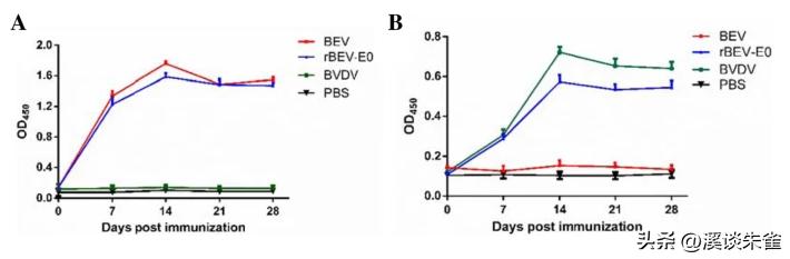 牛流行性腹泻疫苗免疫结果,肠道病毒疫苗终身受益吗