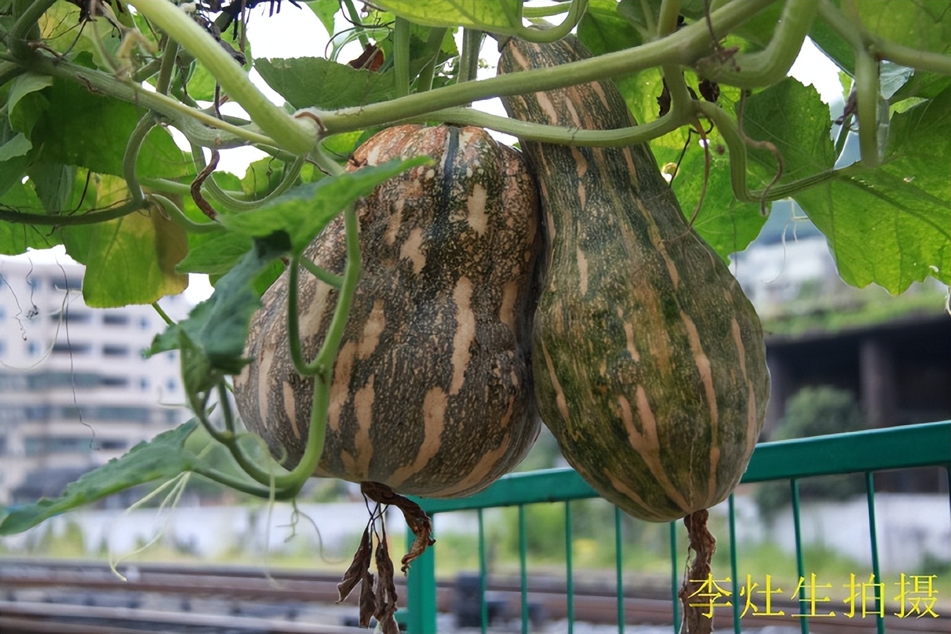 坪石梅田铁路,韶关乐昌市坪石镇火车站