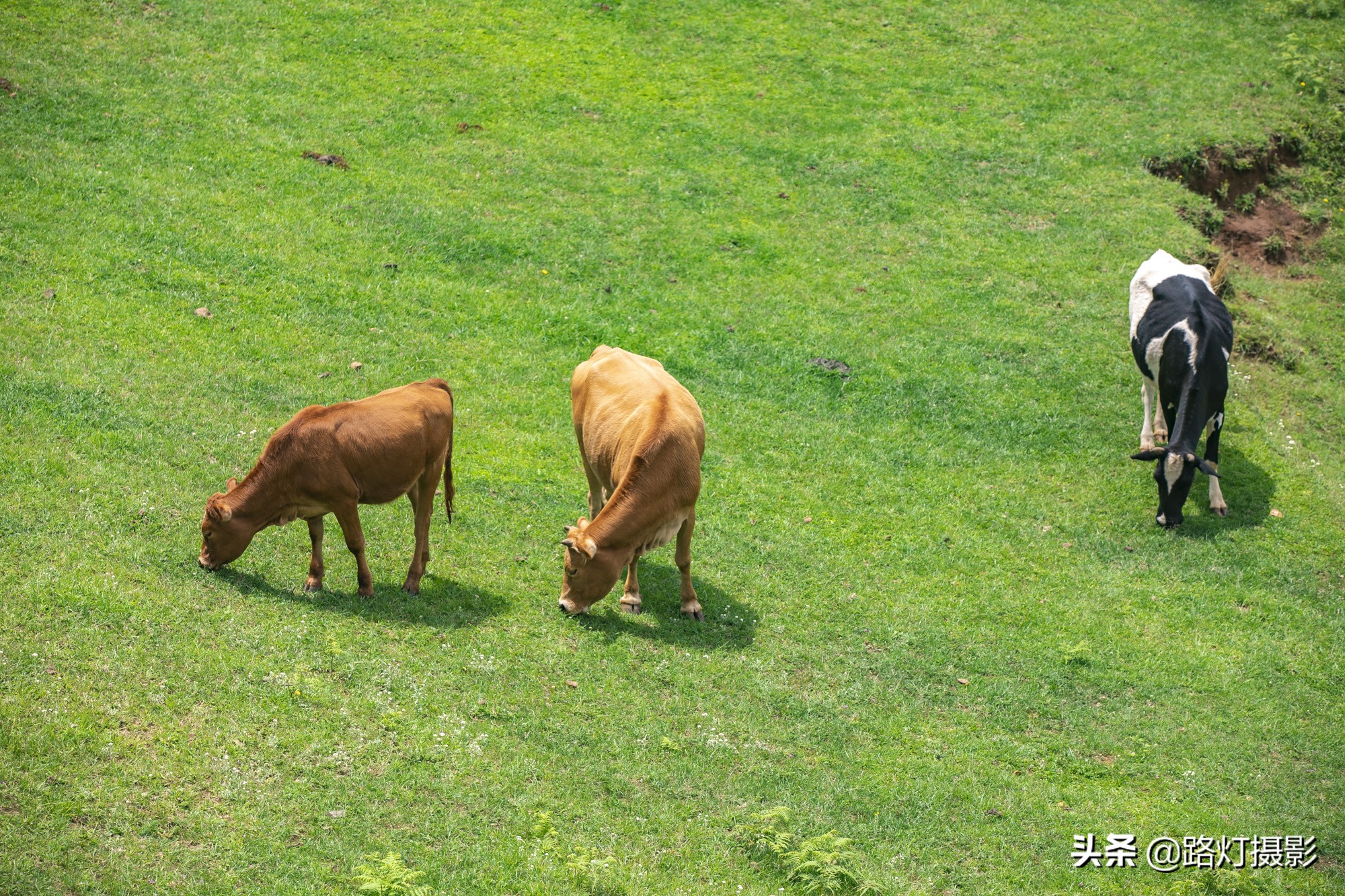 退休后去哪个城市宜居合适,2023中国宜居城市100名