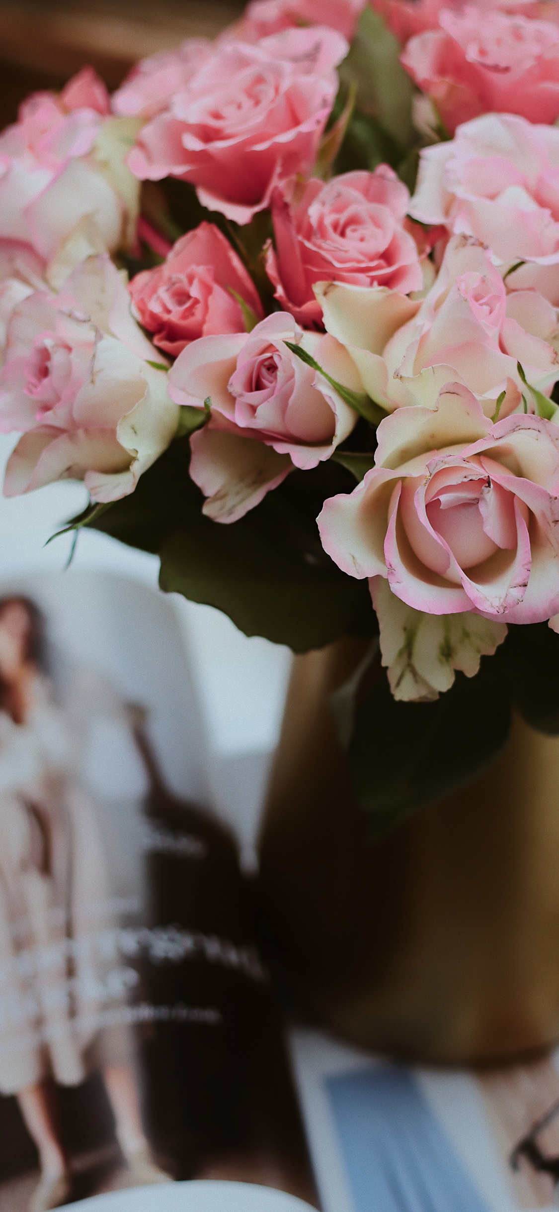 2023年手机壁纸,2023年最新款超清手机壁纸