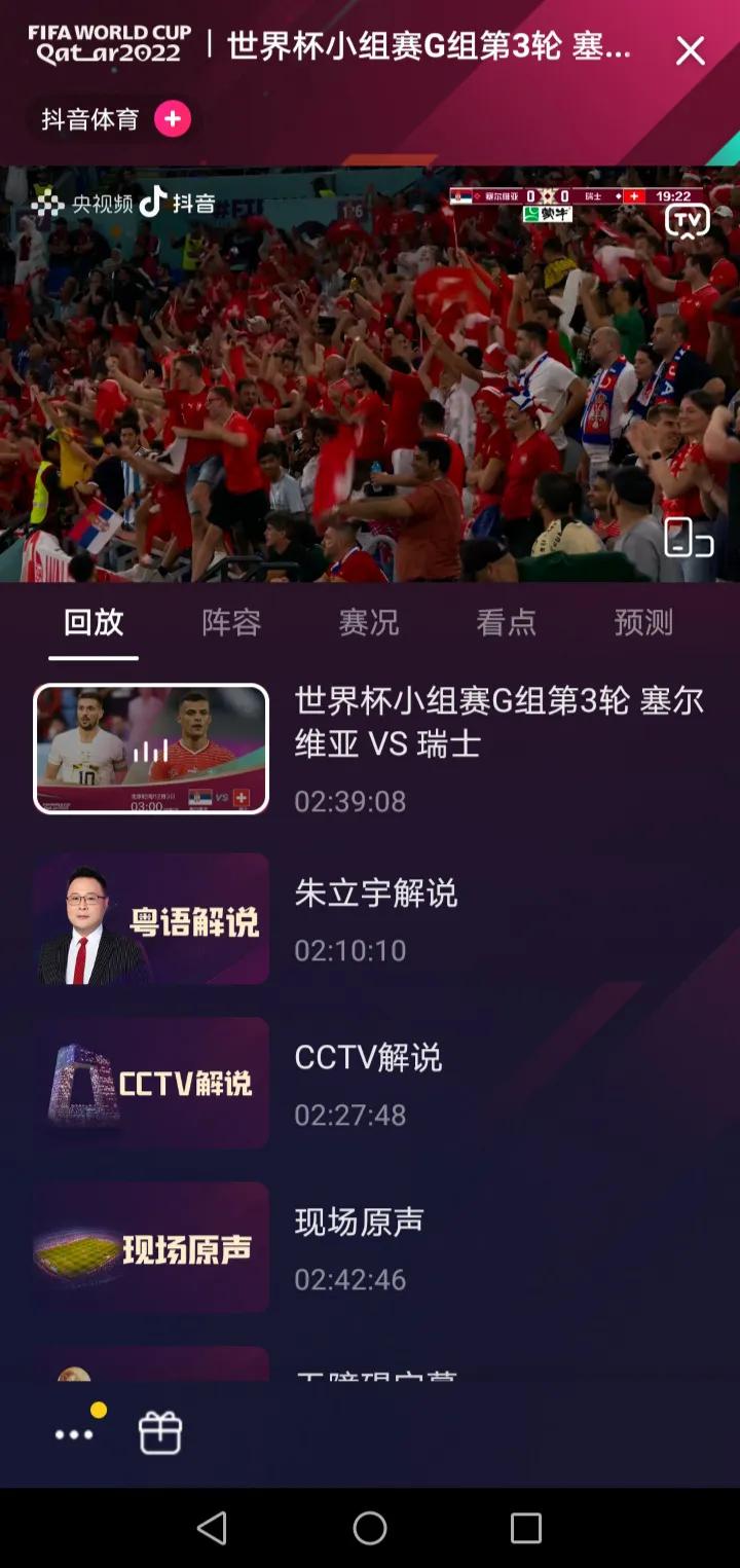 世界杯无障碍直播回放日本,世界杯直播录像回放日本