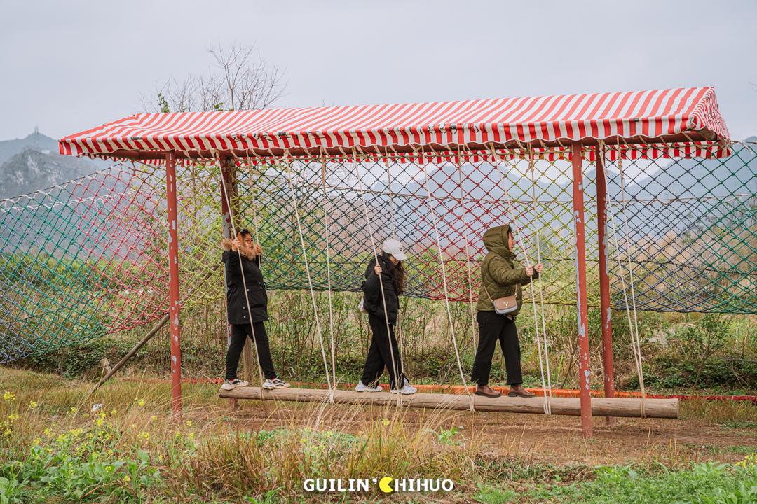 一鱼7吃！11斤以上大活鱼现做！桂林市郊这处田园秘境太会做了！