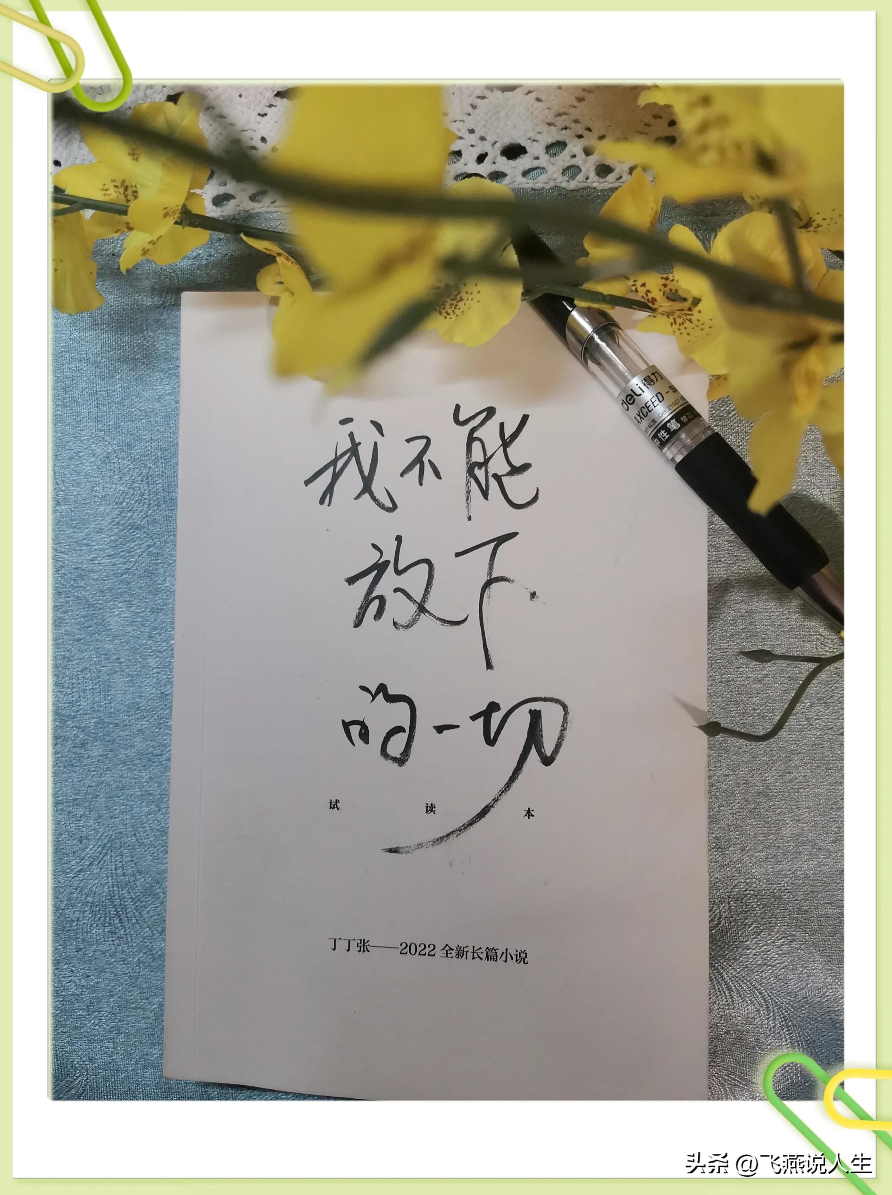 丁丁张玮合唱,丁丁张