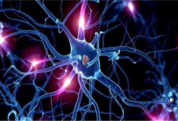 运动神经元,运动神经元并不可怕