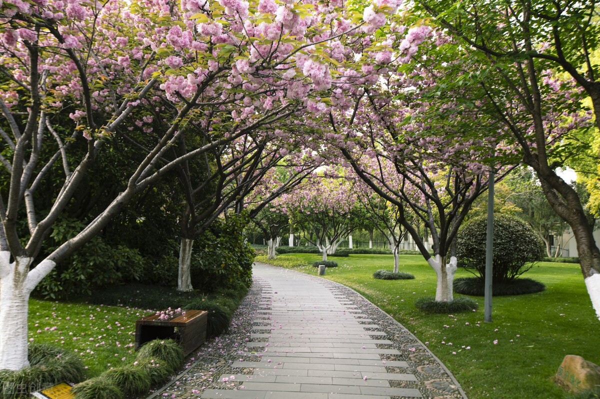 冰糖葫芦又在感慨什么呢,吃冰糖葫芦感受说说心情