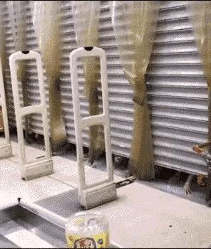 神回复：扔第一颗的时候，日本就是这么想的！神评把我笑死了