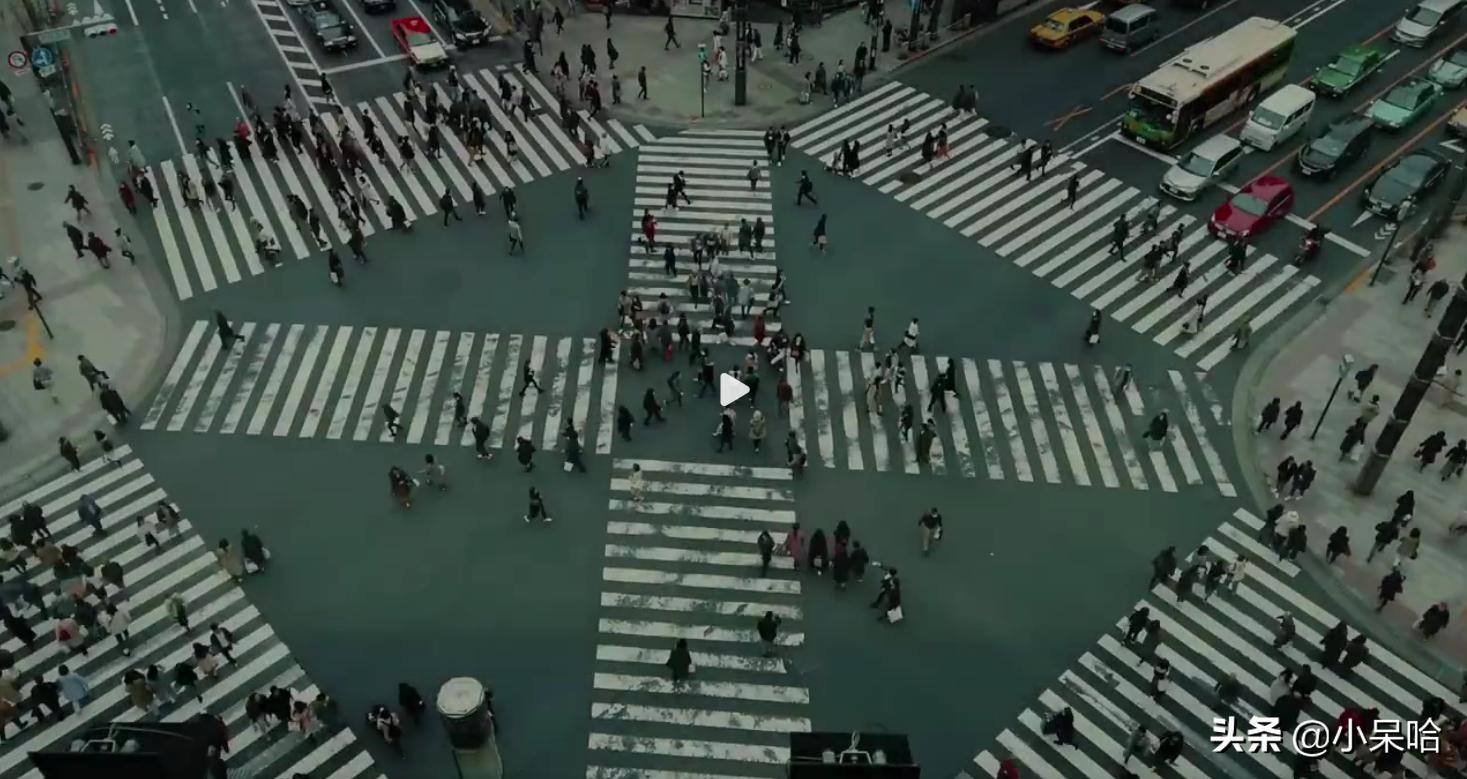 商战剧王炸,朱亚文、万茜领衔,揭开神秘行业:商业调查师