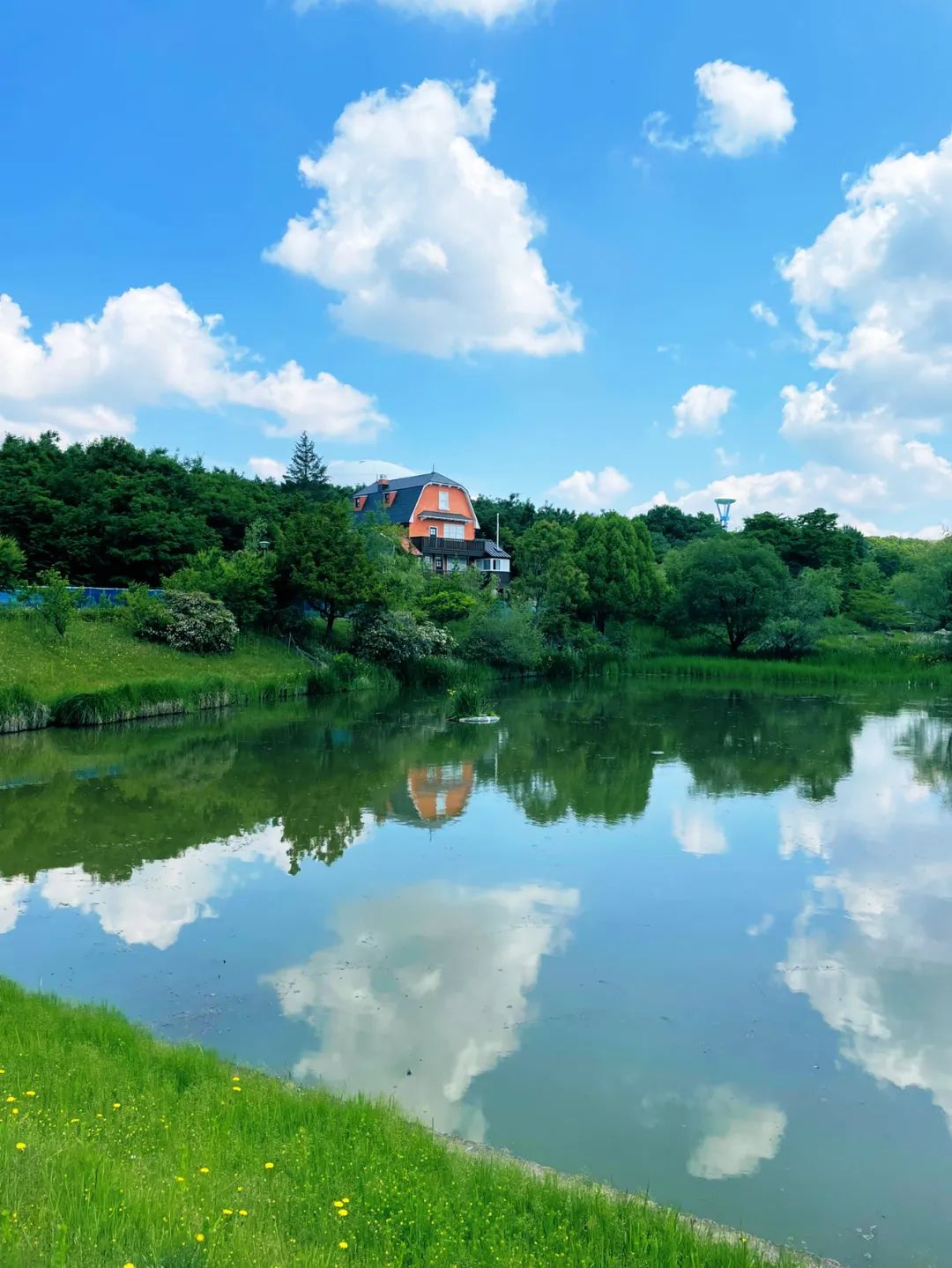 宫崎骏退休发布会,82岁宫崎骏退休之作定档