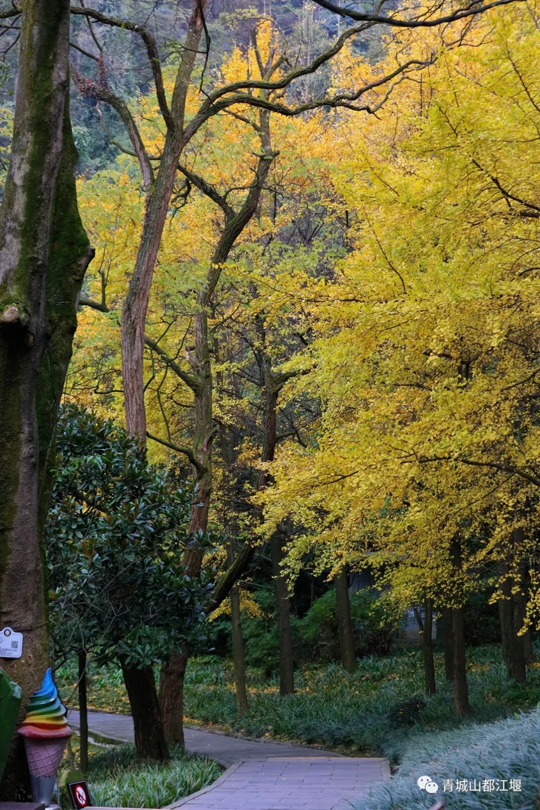 立冬气温仅13℃!快来领取都江堰专属的『入冬四件套』,品围炉暖食、享竹林温泉......成都1.5h直达~