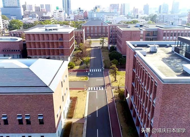 日本九州私立大学,日本西九州大学