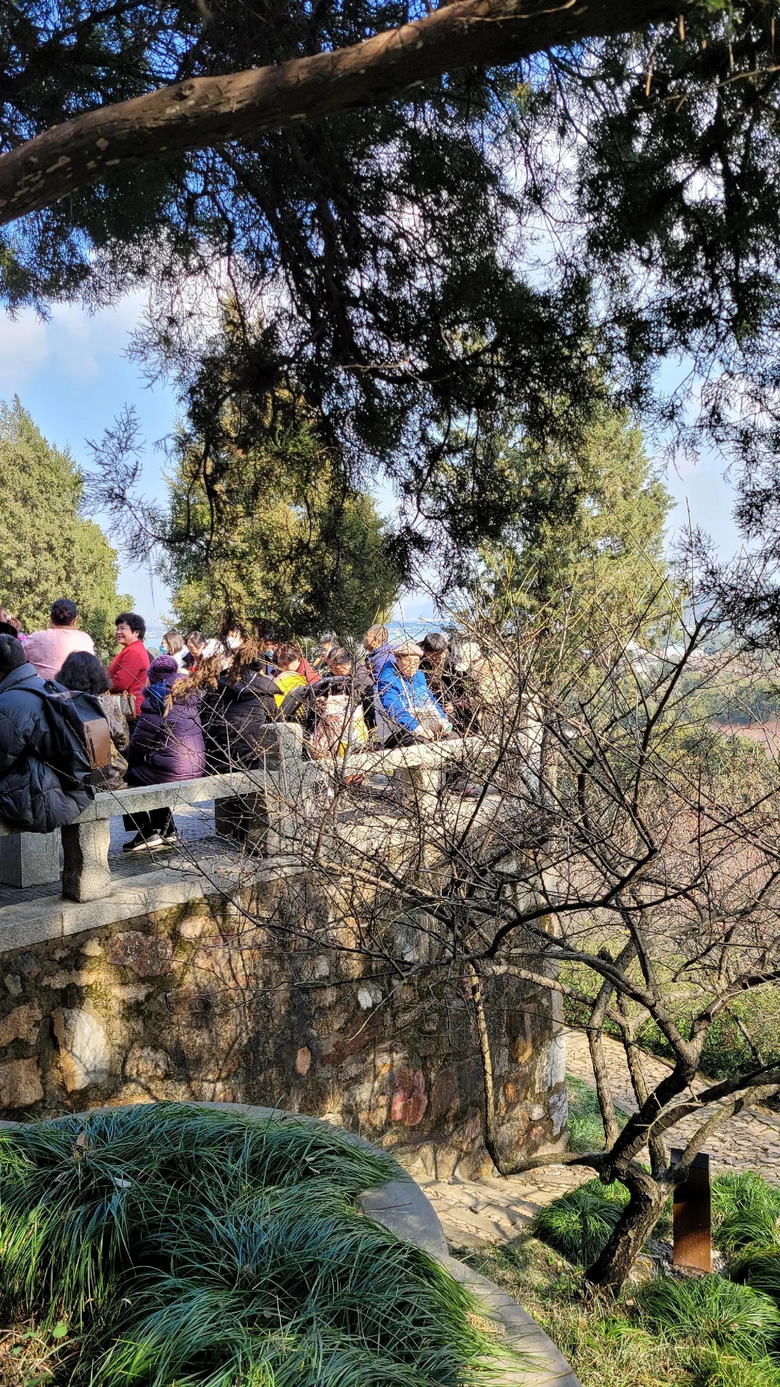 苏州赏梅景点图片,苏州东太湖赏梅攻略