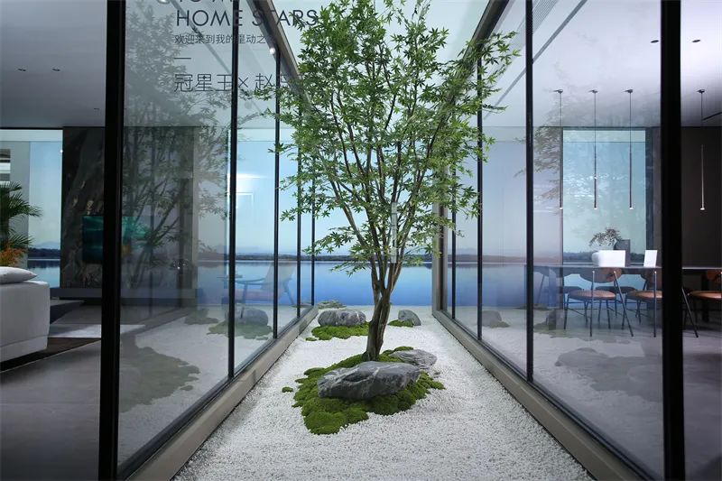 冠军的父母看到孩子夺冠,冠军的家庭