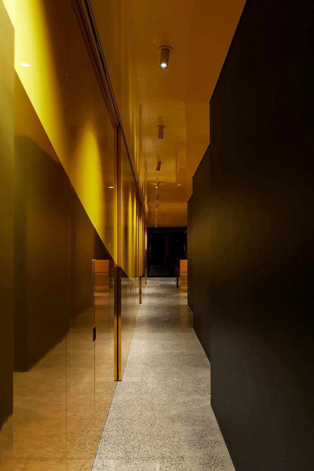 他们把家搬到了森林里，一间森林