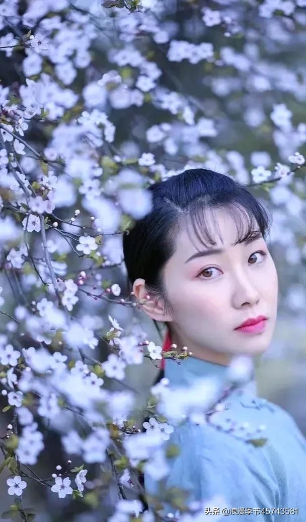 散文把思念种在春天里,写春天和生命有关的散文