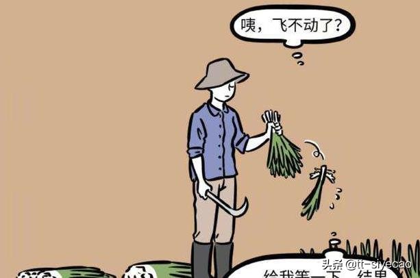 跨境电商的困境,入行跨境电商要多少钱