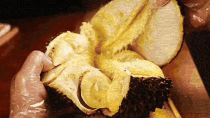 关注胃肠健康,关注肠道健康帮助远离肥胖