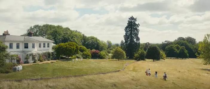 大卫科波菲尔简介及人物形象分析,大卫科波菲尔ppt课件人物形象分析