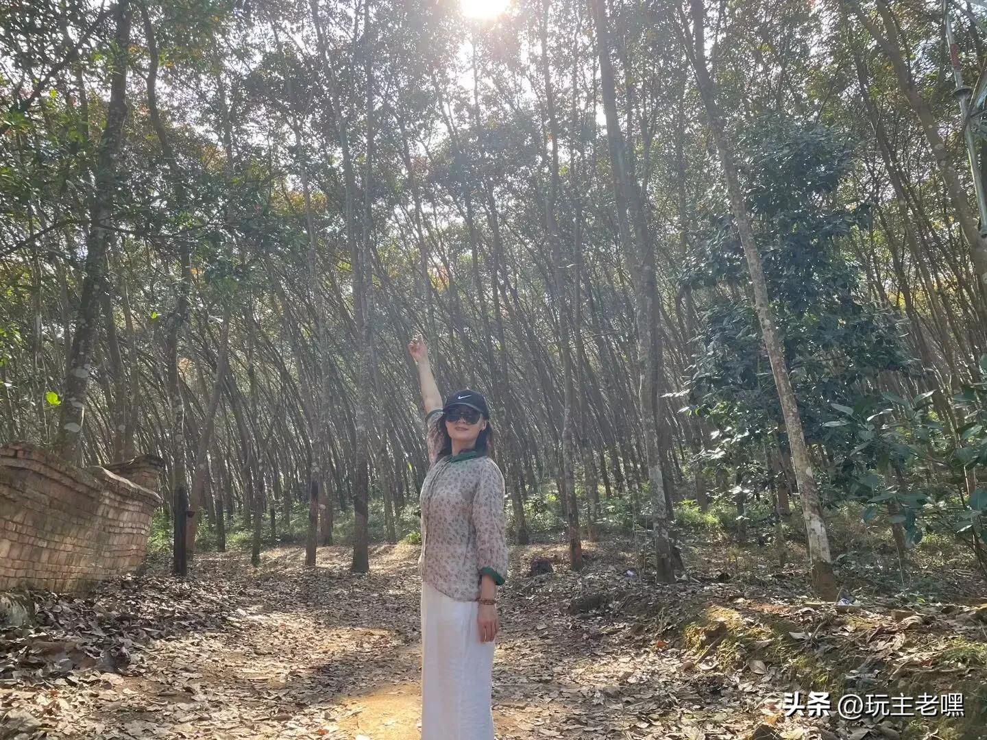 般若寺圣地在哪里,菩提禅寺一方净土