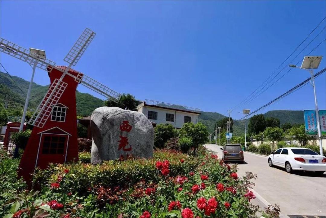 三和三棵树作家陈辉