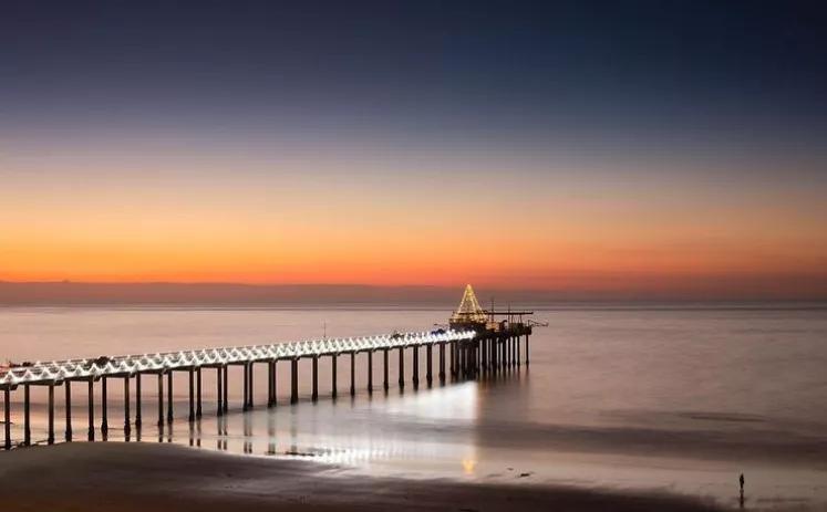 加州人最爱的UC三巨头之一，景美饭好理工牛，一般人真高攀不起